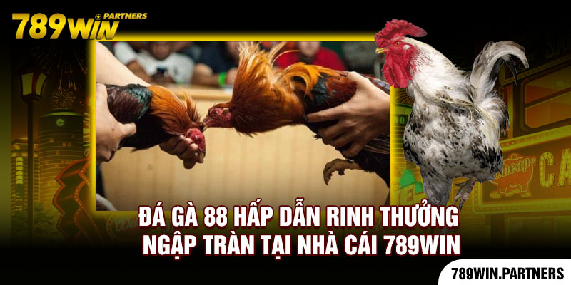 Đá gà 88 Hấp Dẫn Rinh Thưởng Ngập Tràn Tại Nhà Cái 789Win