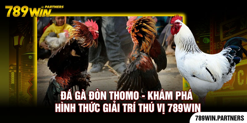 Đá Gà Đòn Thomo - Khám Phá Hình Thức Giải Trí Thú Vị 789Win